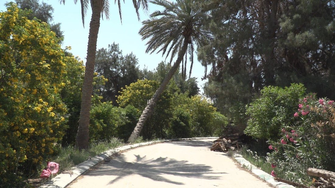 البلدية تقدم عرضاً لسكان بابل: جولة في “الفردوس” من أجل مدينة خضراء (صور)