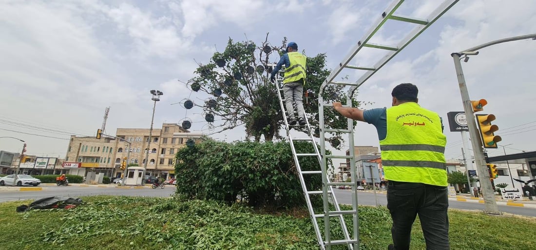 ئەو دار و درەختانەی شێوەی ئاژەڵ و باڵندە دەدەن رێکدەخرێنەوە
