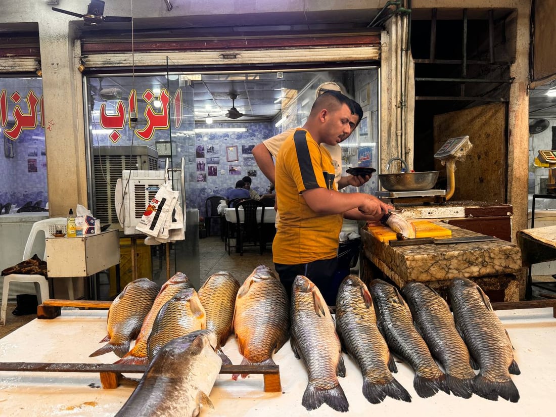 سوق السمك في الموصل ينتعش.. زوار أجانب يتوافدون يومياً (صور)