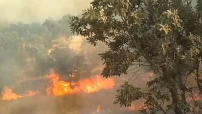 لە  چەند شوێنێکی چیای زۆزک ئاگر کەوتەوە