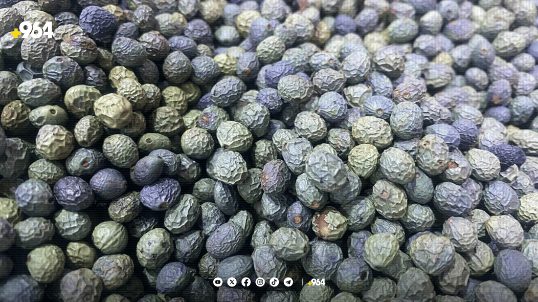  له‌ ئامێدى قاوە بە قەزوانی خۆماڵی دروست دەکرێت