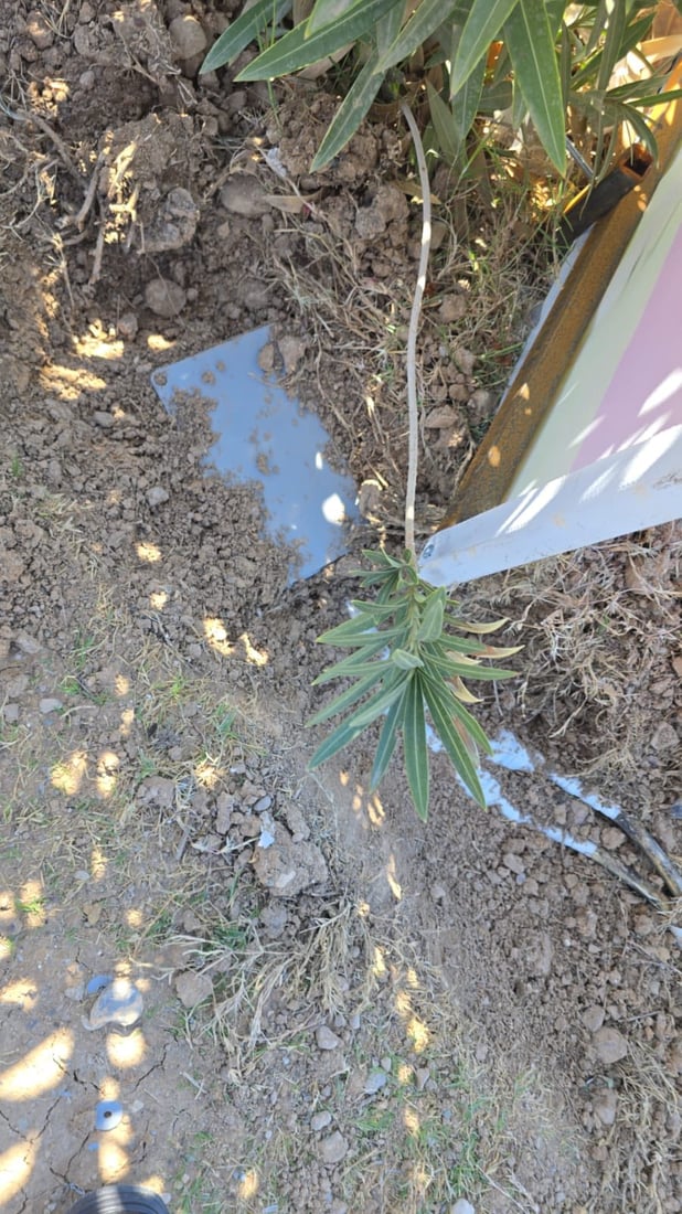 پۆستەرەکانی بانگەشە زیانیان بە تۆڕەکانی ئاوی کەرکوک گەیاندووە