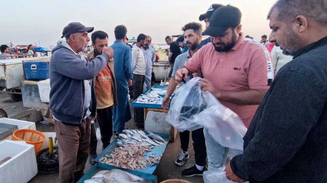 موجة البرد تضعف الطلب في الفاو.. السمك البحري وفير والأسعار بدأت تنخفض