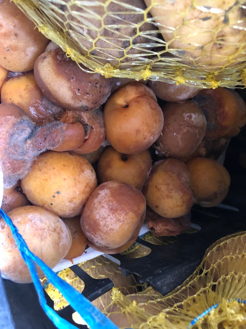 دوو تۆن و 700 کیلۆ پەتاتە و مۆز و قەیسی دەستیان بەسەرداگیرا