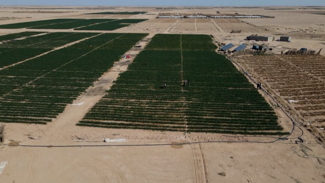 النجف تبدأ بأكبر مشروع زراعي في بادية المحافظة – هيئة الاستثمار