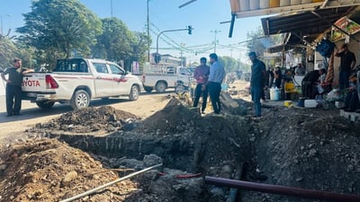 لەسەر رێگەدان بە بڕینەوەی دار، سکاڵا لەسەر بەڕێوەبەری ناحیەی سیروان تۆمارکراوە
