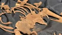 روفاتی سێ سەربازەکە لە چیای کۆدۆ هەڵگیرایەوە