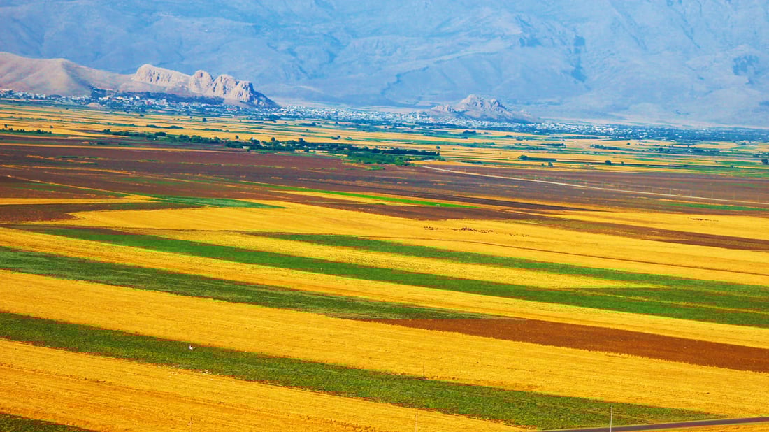 كشتوكاڵى هه‌ڵه‌بجه‌ رازى نابێت زه‌ویه‌ به‌پیته‌كان به‌سه‌ر فه‌رمانبه‌ران دابه‌ش بكرێت
