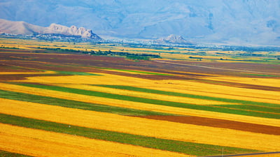 كشتوكاڵى هه‌ڵه‌بجه‌ رازى نابێت زه‌ویه‌ به‌پیته‌كان به‌سه‌ر فه‌رمانبه‌ران دابه‌ش بكرێت