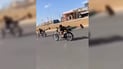 چەند ماتۆڕسوارێک لەسەر شەقام سەرکێشیان کرد و نمایشی مەترسیداریان ئەنجامدا