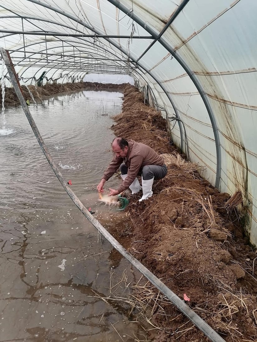 له‌ سلێمانى په‌نجه‌ماسی به‌ سستمى نیمچه‌ ده‌ستكرد به‌رهه‌م هات