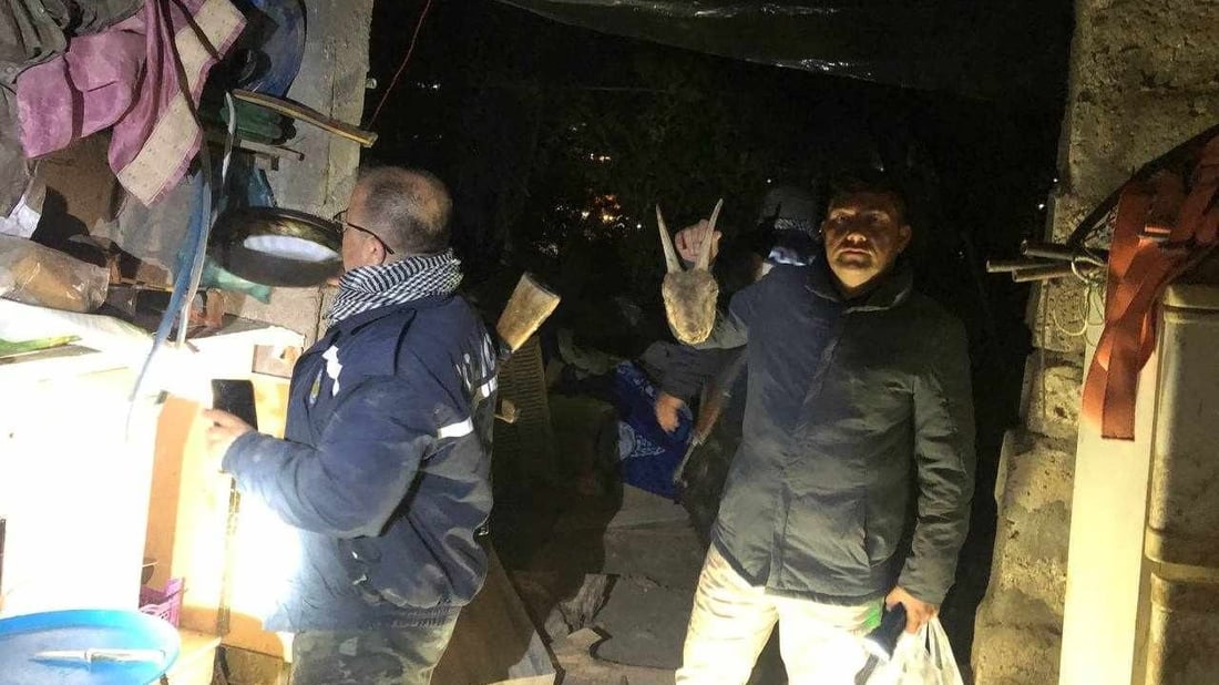 تربية القنافذ ممنوعة في السليمانية.. اعتقال رجل قام بذلك وأخفى رأس المعزى البرية