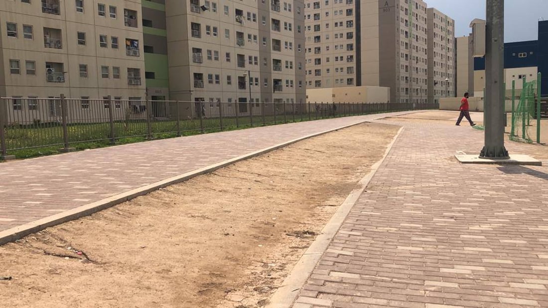 صور: سكان بسماية يعرضون 50 دولاراً مقابل عودة “هانوا”.. لم نجن سوى “بند القمامة”