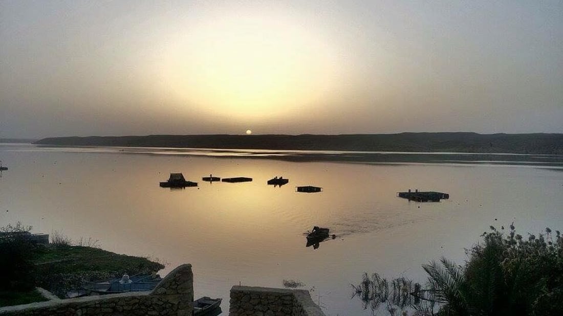 Anbar cuts Euphrates releases to protect water reserves
