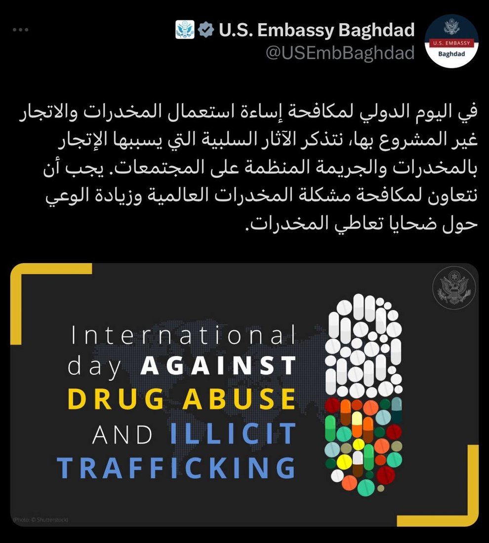 +964صورة من منصة (شبكة): 