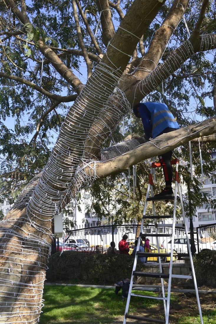 البياع: متنزه “بغداد” بحلة جديدة.. إنارة ليلية تحيي الحديقة حتى الصباح