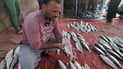 قوارب الصيد عادت بـ9 أطنان من السمك لكن الصبور قليل (فيديو)