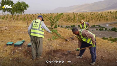 شارەوانی سلێمانی هەڵمەتی ناشتنی نەمامی راگەیاند