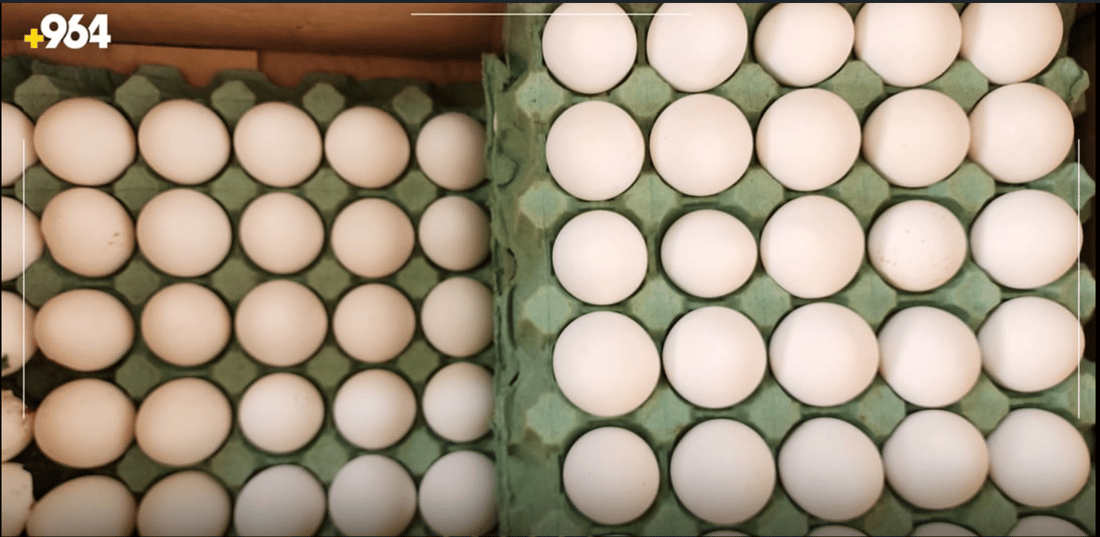 Sulaymaniyah authorities ban undocumented eggs, seize unregistered stock