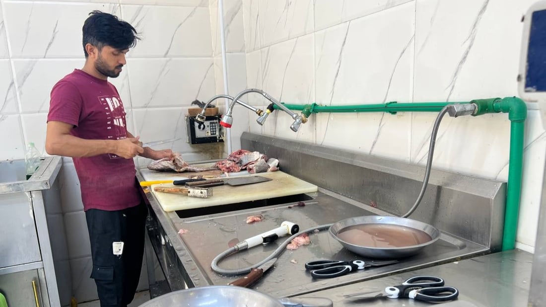 أسماك النهر والبحر متوفرة في الأعظمية.. أسعار 20 صنفاً من محل القبطان (صور)