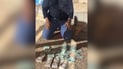 Man arrested for trafficking over 1,100 voter ID cards ahead of elections