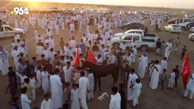 نينوى: حصان يوثق سلالته بـ4 أسماء في تل صفوك.. أطول مسابقة خيول تدعم حملة 964