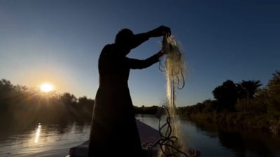 Fishers in Maysan navigate challenges on the Tigris to preserve a way of living