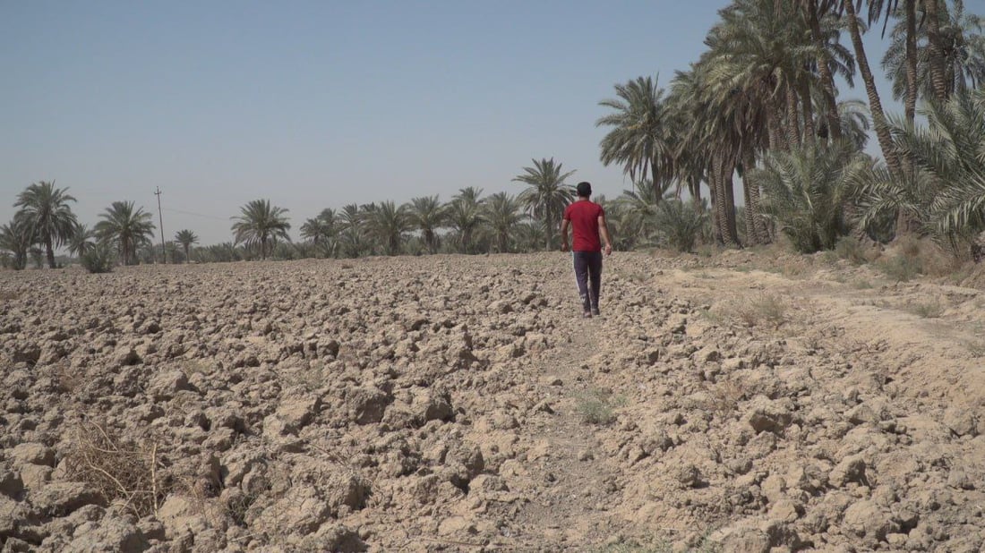 ماذا يعمل مزارعو بابل بعد إخراجهم من الخطة؟.. الحكومة: قد نعلن توسيعاً