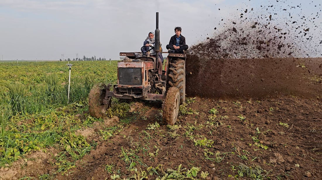 Iraq launches electronic farmer card to map agriculture, target subsidies and manage water use