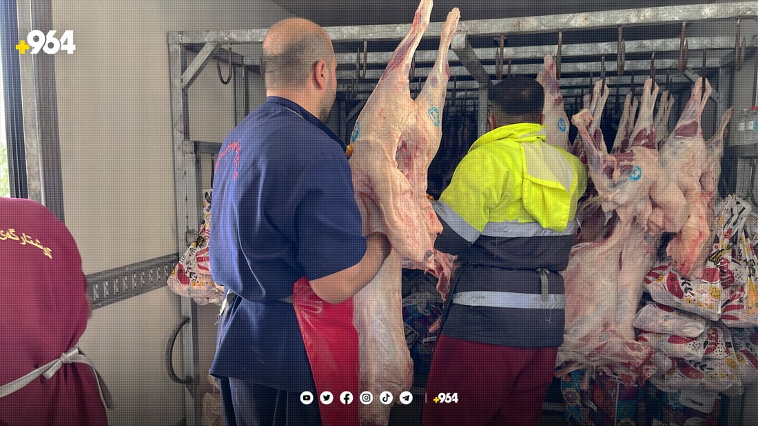 کوشتارگەی سلێمانی: “بە هۆی “گەنە”وە 50 ئاژەڵمان رەتکردووەتەوە”