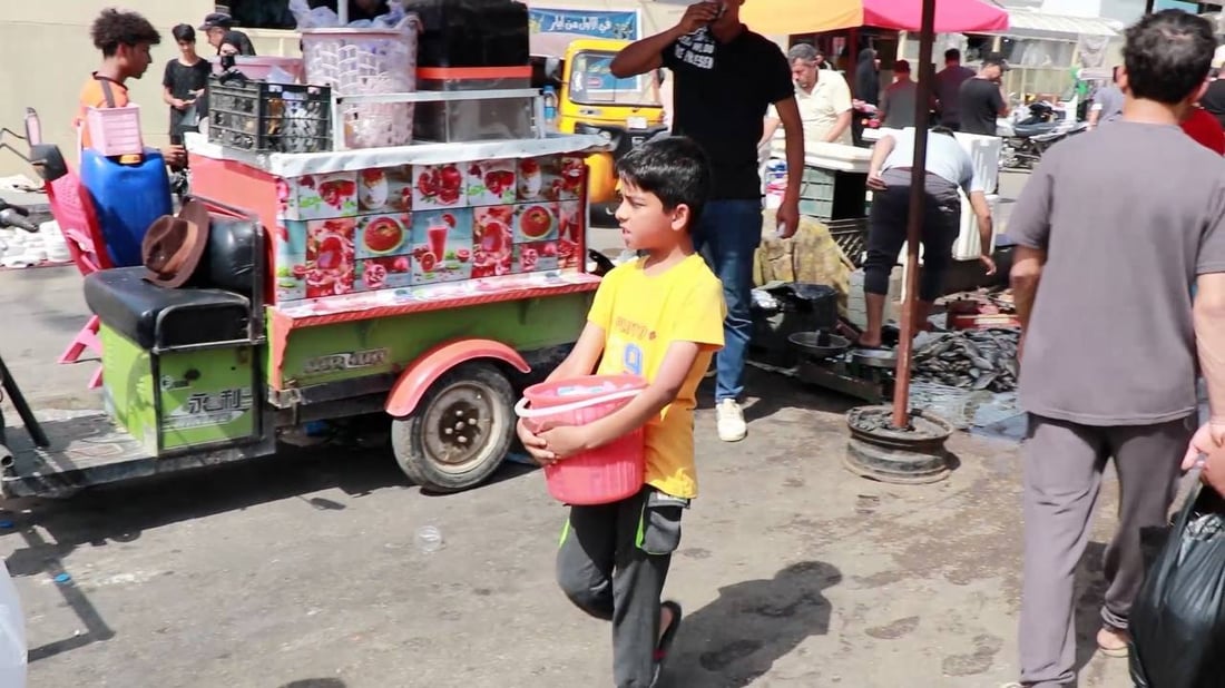 أطفال الكوت “يقطّعون السمك” ويدفعون العربات مع حلول العطلة الصيفية.. شهادات محزنة