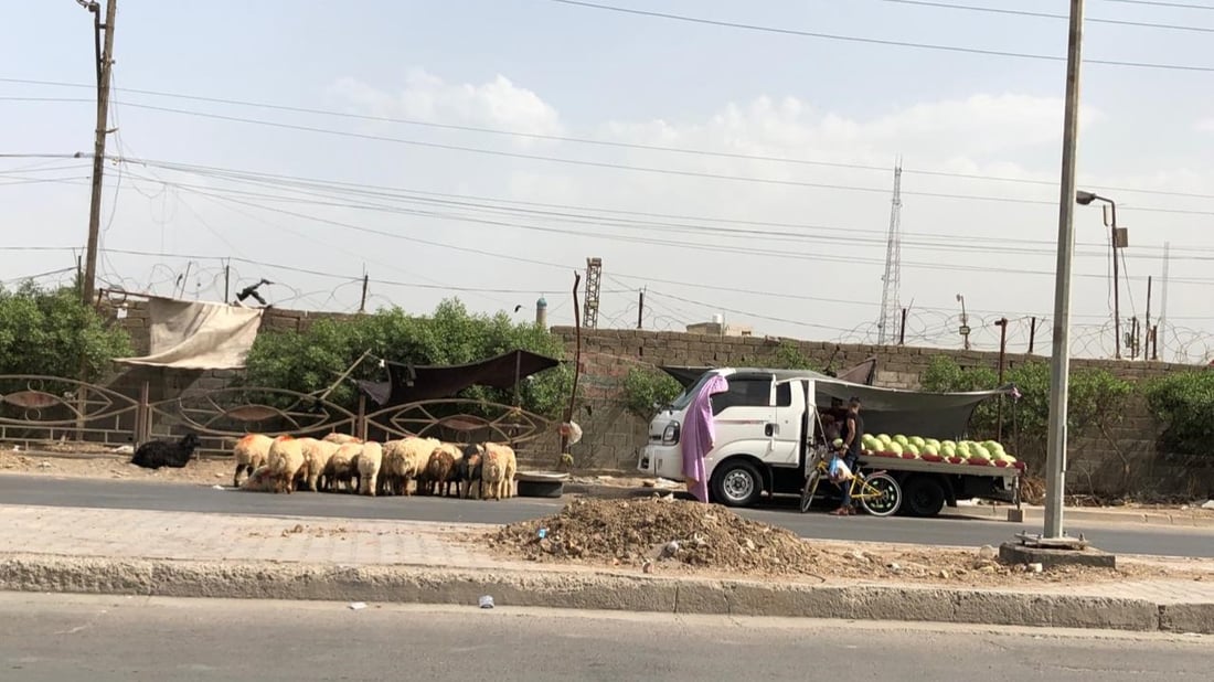 بغداد: سايبا تجر حصاناً مع صور “غريبة” كثيرة.. ماذا يحدث في شرق القناة؟