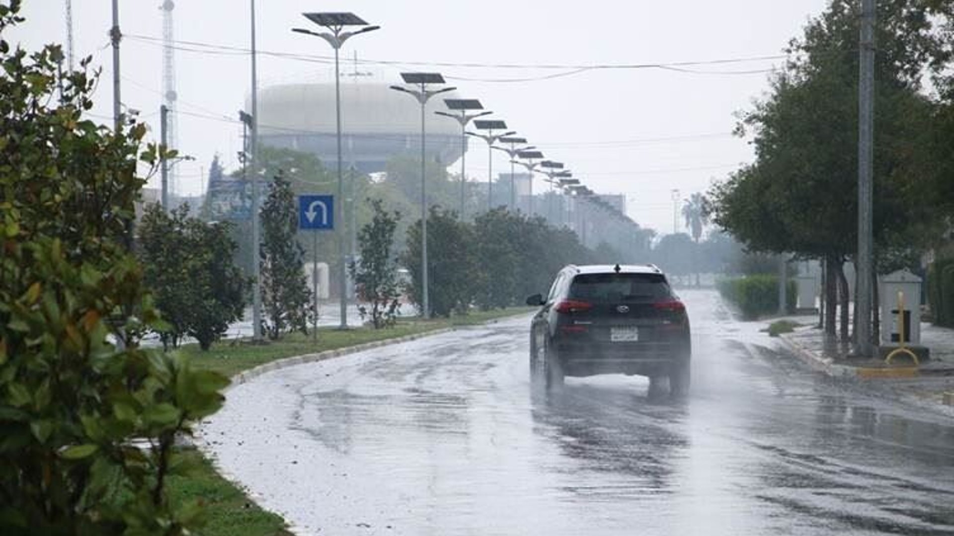 Heavy rain, thunderstorms and strong winds forecast to peak Sunday ...