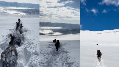 دوای حەوت رۆژ مانەوە رەوەئەسپەکەیان لەناو بەفری چیای شیریندا رزگار کرد