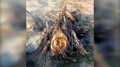 شهر رمضان يطلق الإنذار في الربيع.. اغتنموا الفرصة في آلتون كوبري والسمك بـ7 آلاف