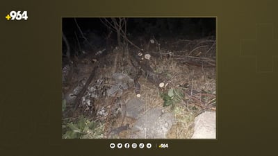 داربڕێک لە مێرگەپان دەستگیرکرا