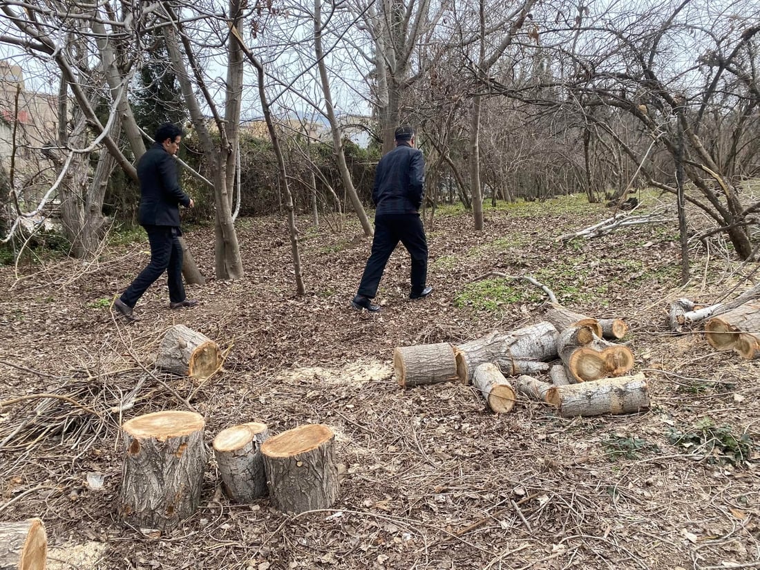 ژینگه‌ى هه‌ڵه‌بجه‌ رێكارى یاسایی به‌رامبه‌ر دوو سه‌رپێچیكار ده‌گرێته‌ به‌ر