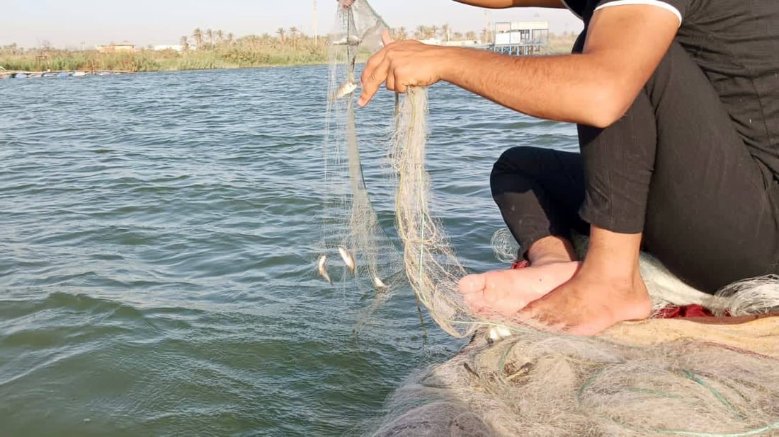 “الجفوت” اقتحم الفرات في البصرة والصيادون أعدوا “السلية” و”المحير” (صور)