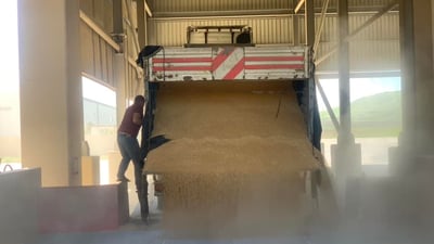 عێراق 600 هەزار تۆن گەنمەکەی کڕی