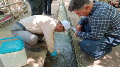 نموونە لە ئاو و خۆراکی بیارە وەرگیرا و پشکنینی بۆ دەکرێ