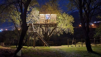 دهوك: شاب يبني الأكواخ فوق الأشجار المعمرة ويجذب السواح والفنانين بفكرة نادرة (فيديو)