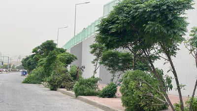 زیانەکانی رەشەبا و باران و تەرزەکەی ئەمڕۆ چیبوون؟