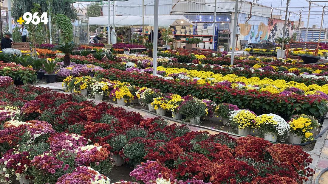 [PHOTOS] Nasiriyah flower exhibition encourages locals to pick up gardening
