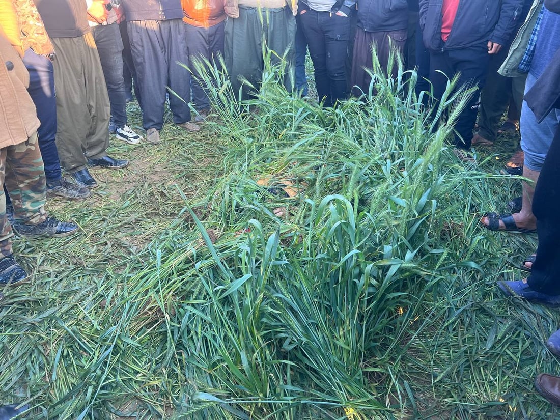 جريمة غامضة في داقوق.. العثور على جثة شاب بعد اشتباك ناري بحقل حنطة
