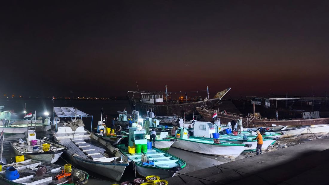 صور: 30 طناً من السمك في مرسى النقعة.. “خلي الفقير ياكل”