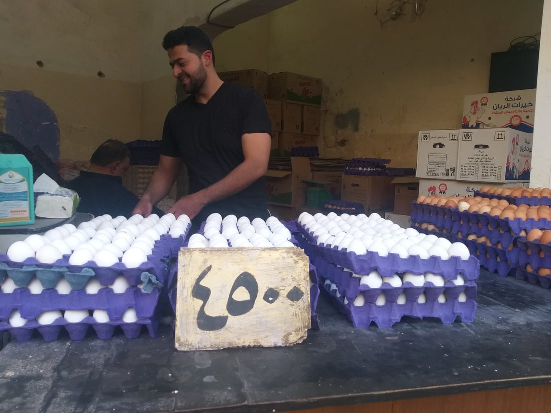 بغداد: البيض يعود إلى رشده في الحرية.. الطبقة بـ4500 وقد تنخفض أكثر