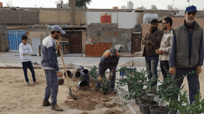 “احموها من المواشي”.. ألف شجرة لتنقية أجواء الزبير في 8 مناطق (صور)