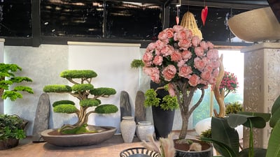 داری وشک دووبارە بەکاردێتەوە و جوانكارییان بۆ دەكرێت و ناناسرێنەوە