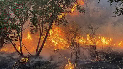 ئاگرەکەی قەرەداغ دوای چەندین کاتژمێر کۆنترۆڵکرا