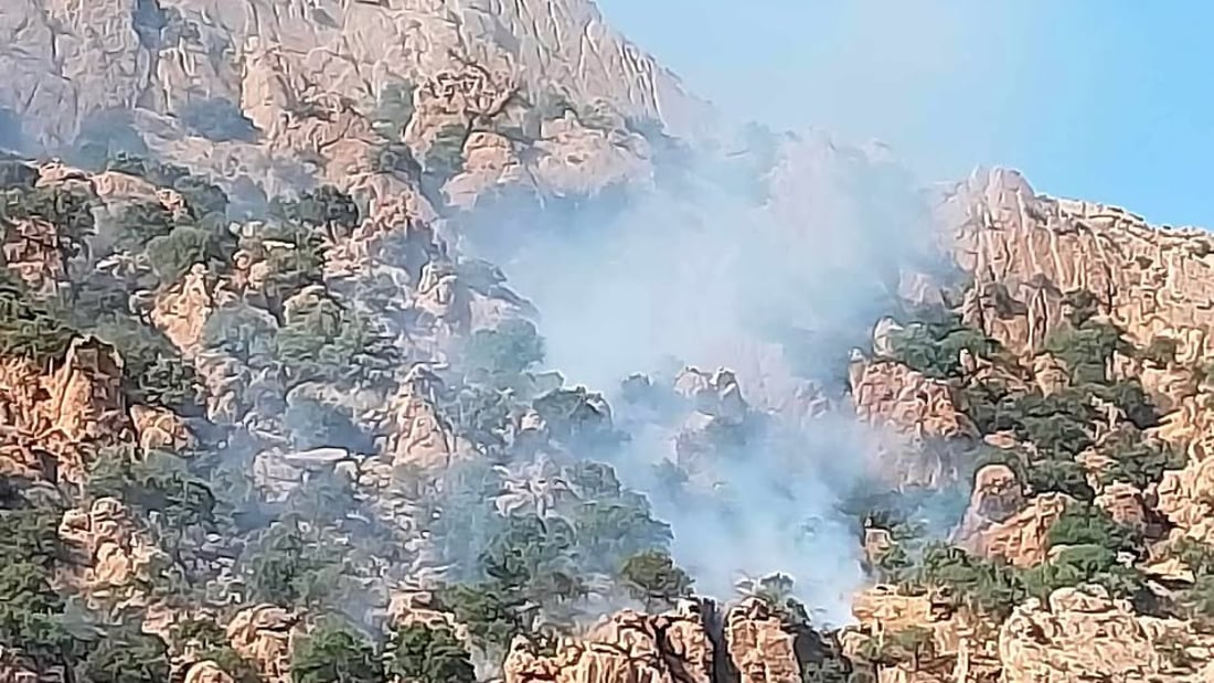 السليمانية تخمد حريقاً صعباً في الجبال.. التهم ألف شجرة وأراض زراعية شاسعة